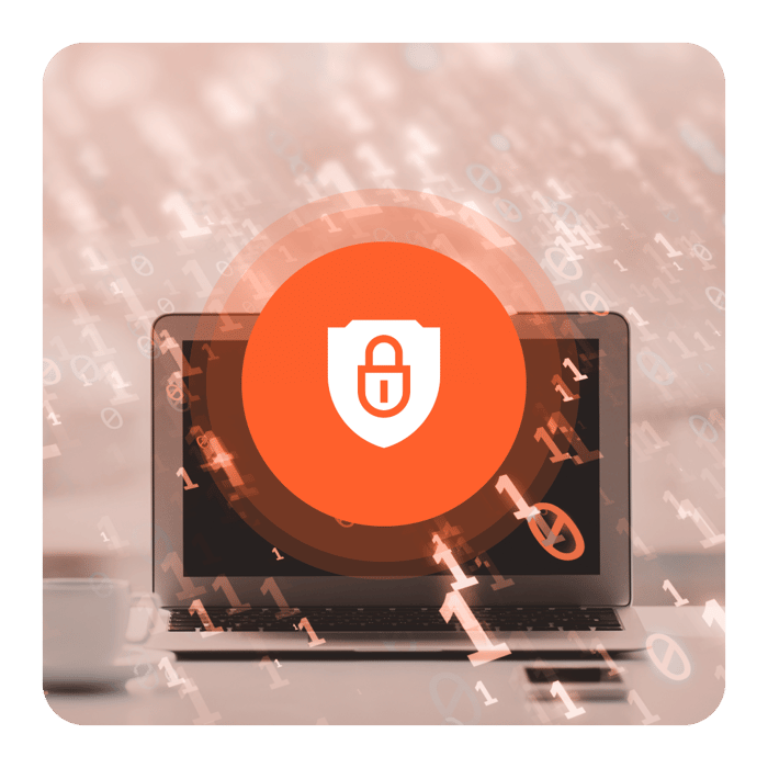 Vaudit_Website_Ad_ID_What We Detect