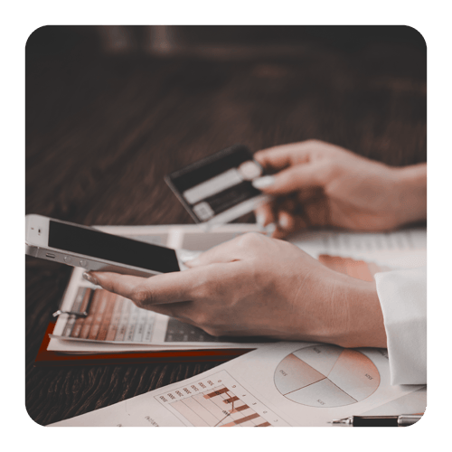 Vaudit_Website_Payment_ID_SPayment Processing Fees Are Opaque By Design