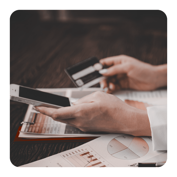 Vaudit_Website_Payment_ID_SPayment Processing Fees Are Opaque By Design