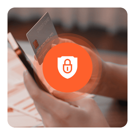 Vaudit_Website_Payment_ID_What We Detect