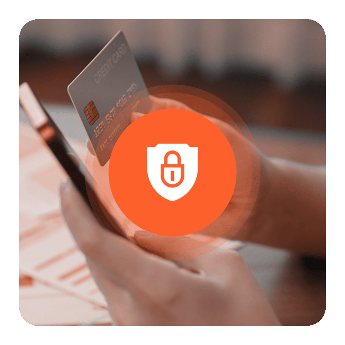 Vaudit_Website_Payment_ID_What We Detect