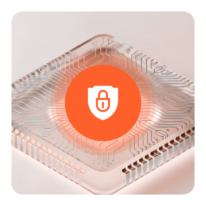 Vaudit_Website_Token_ID_What We Detect