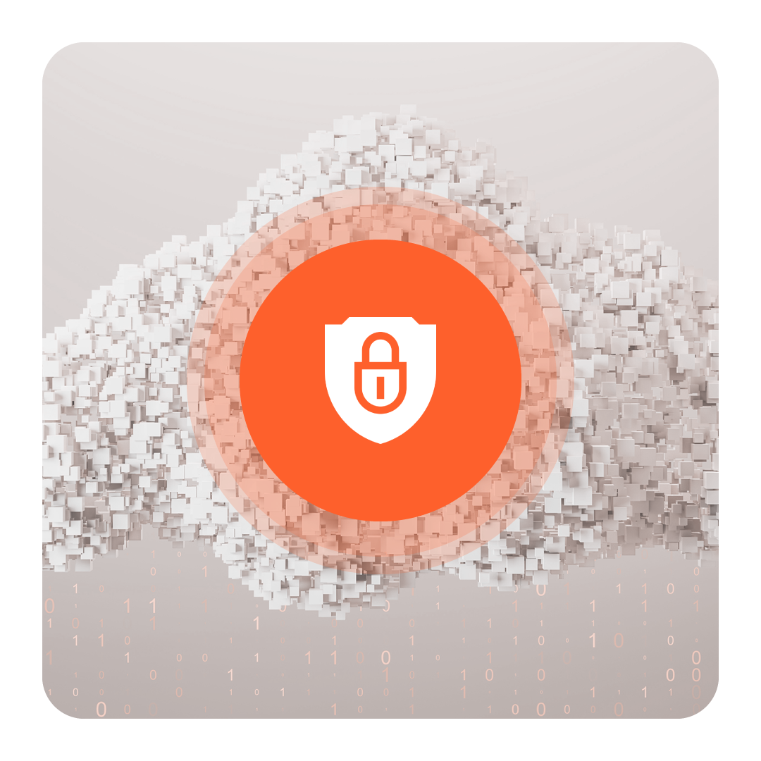 Vaudit_Website_What We Detect